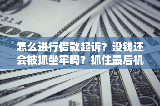 济南怎么进行借款起诉？没钱还会被抓坐牢吗？抓住最后机会！