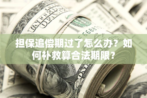 济南担保追偿期过了怎么办？如何补救算合法期限？