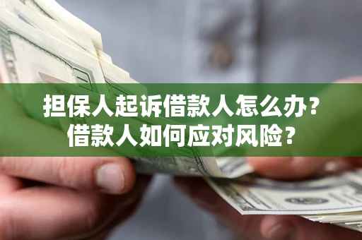 济南担保人起诉借款人怎么办？借款人如何应对风险？
