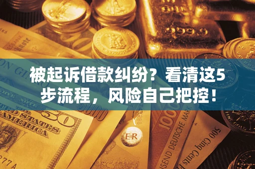 济南被起诉借款纠纷？看清这5步流程，风险自己把控！
